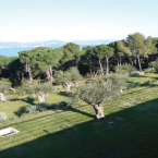 Luxury villa in St tropez, Villa Bassin, Garden