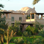 Overview